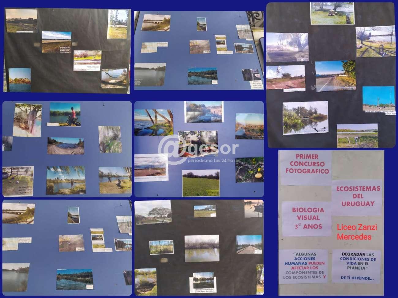 Image2